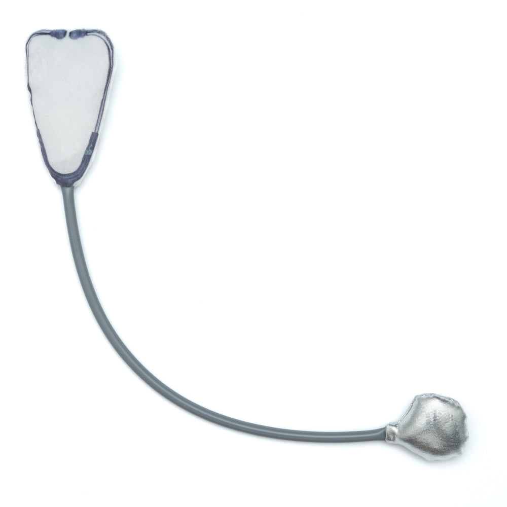 Heart Beats for Treats stethoscope
