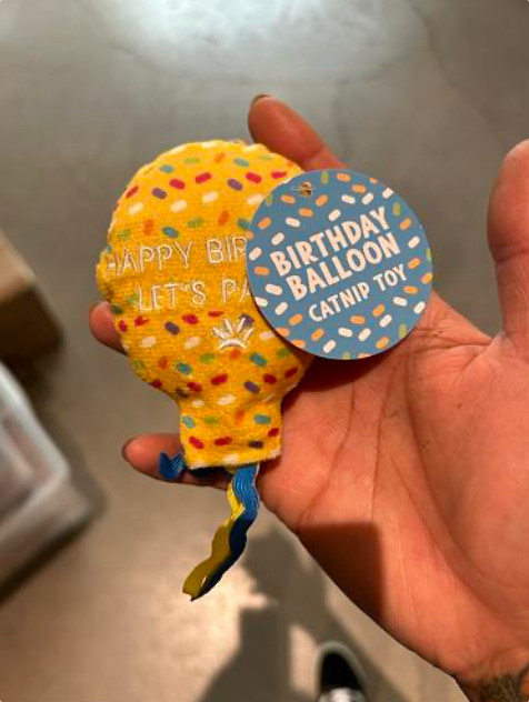 Birthday Balloon Catnip Toy