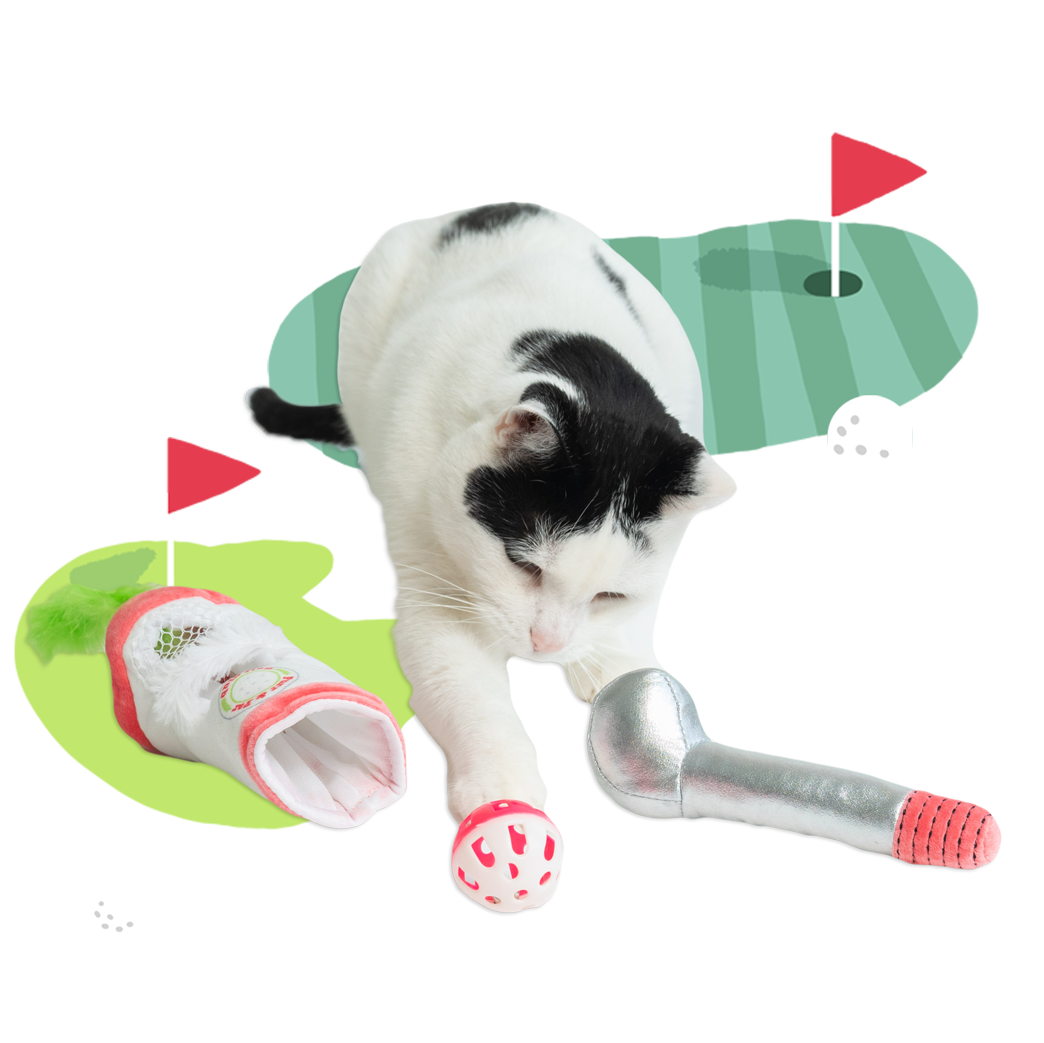 Image of a white black spotted cat playing with the Purrs and Putts ball. Laying next to Nine Lives Iron Catnip Multipack