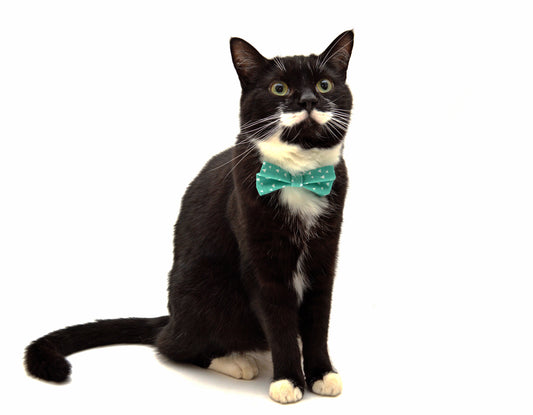 Empurrium Handmade Bowtie & Collar