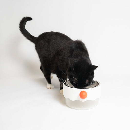 Food Warming Clown Bowl - White