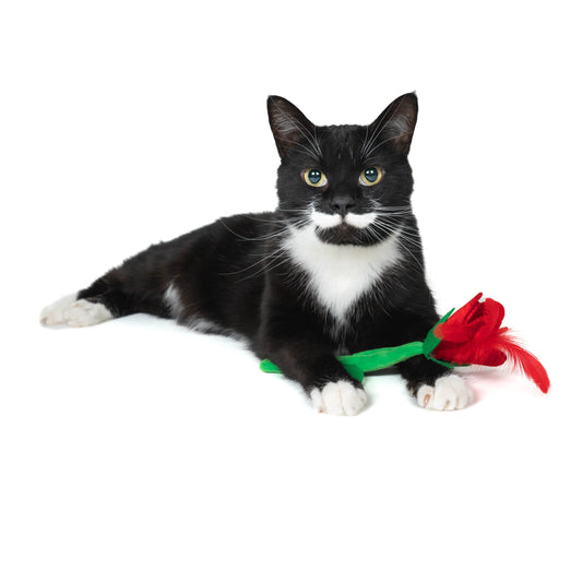 I Pick Mew Rose catnip toy