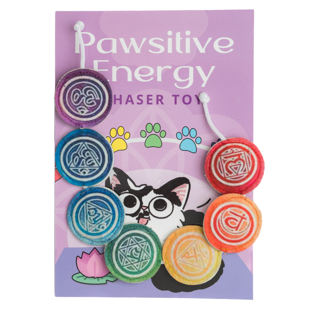 Pawsitive Energy Chaser Toy