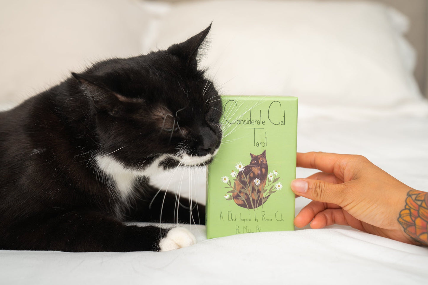 Considerate Cat Tarot Deck Volume 2 (II)