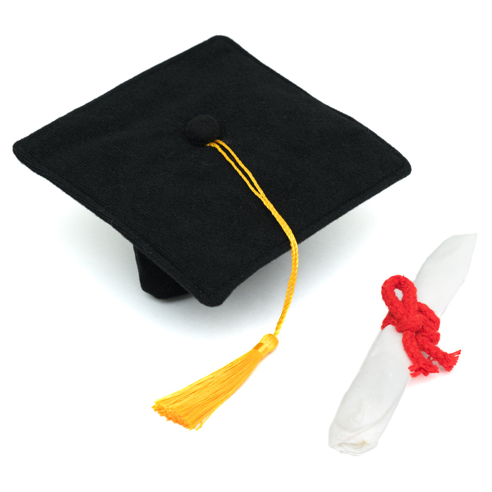 Cap and Diplomeow 2-pack
